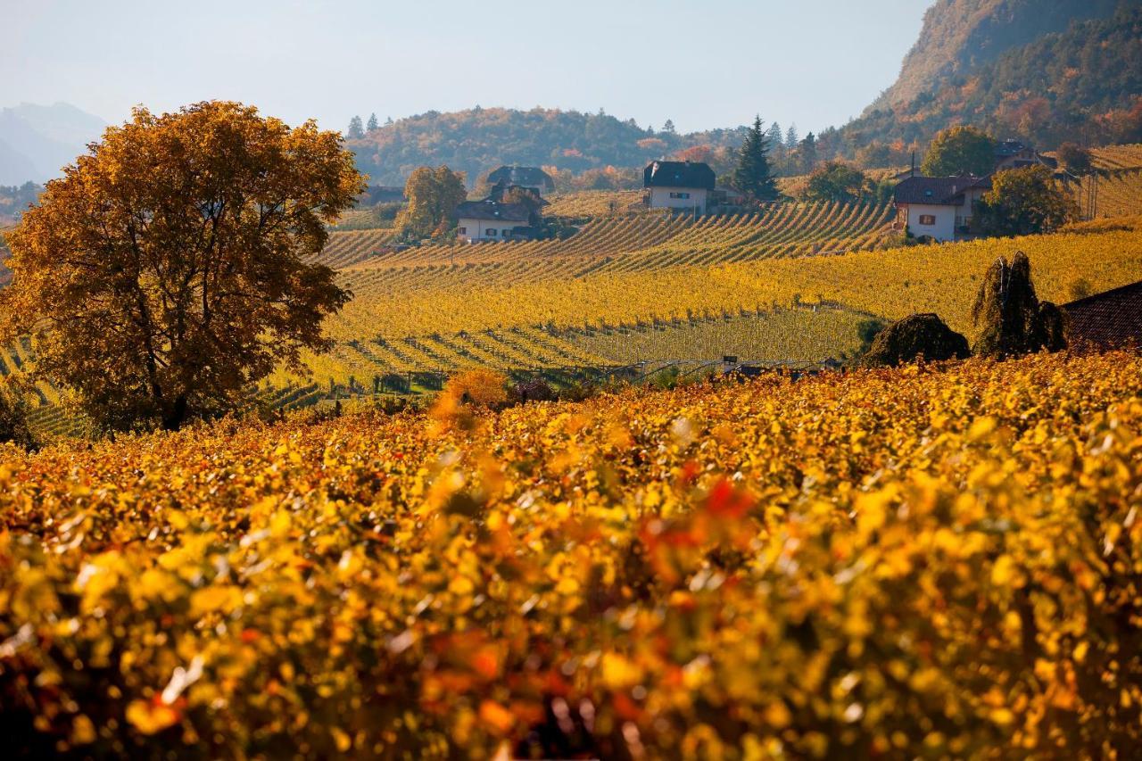 Schmalzerhof - * Appiano Sulla Strada Del Vino
