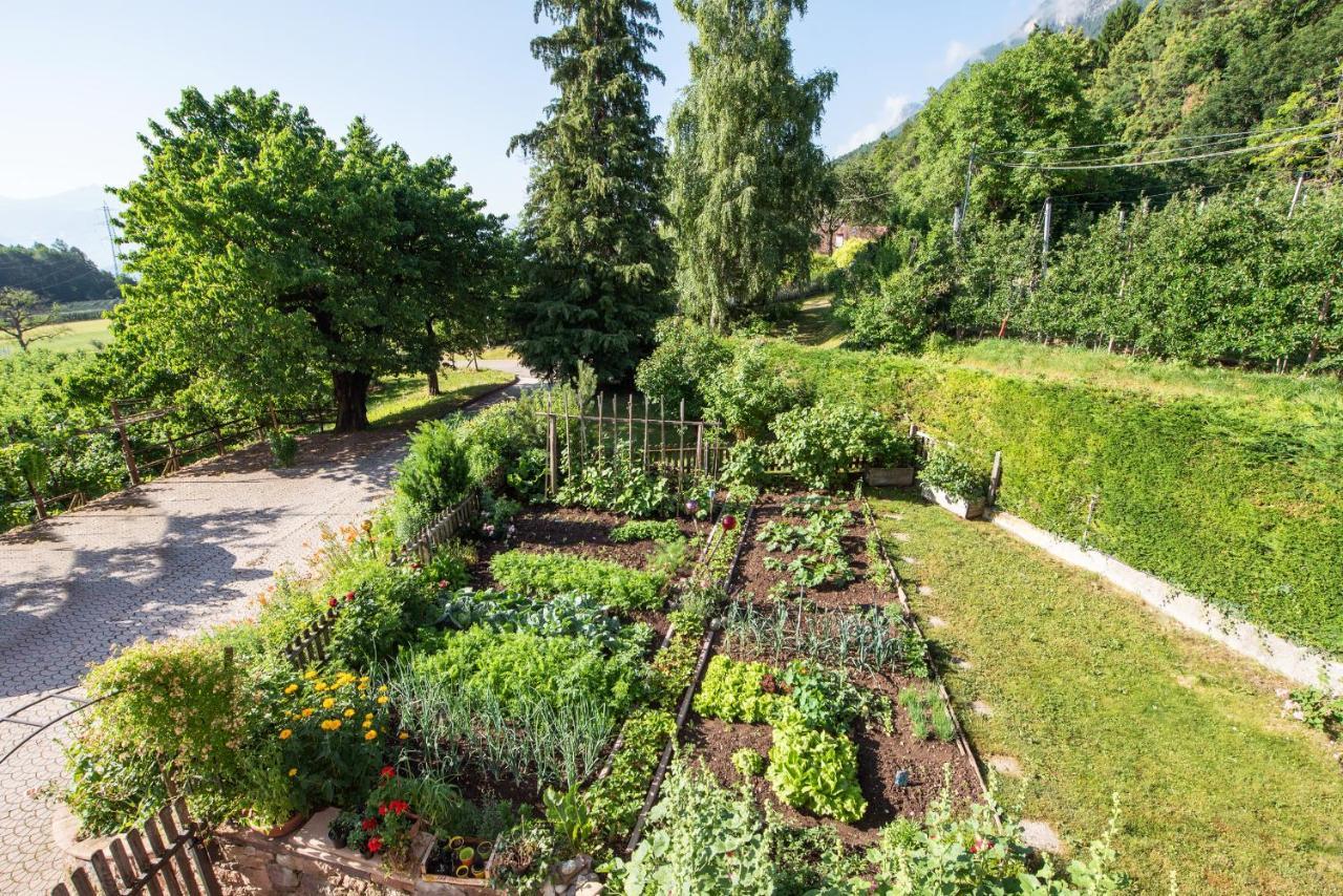 Schmalzerhof -