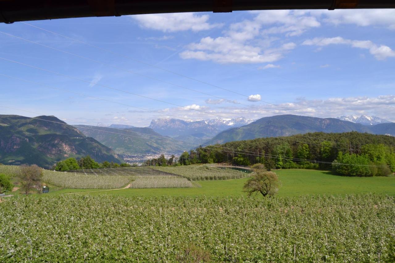 Apartment Schmalzerhof - Appiano Sulla Strada Del Vino