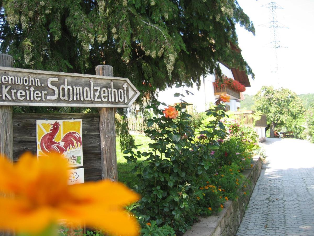 Apartment Schmalzerhof - *